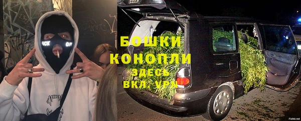 ПСИЛОЦИБИНОВЫЕ ГРИБЫ Кукмор
