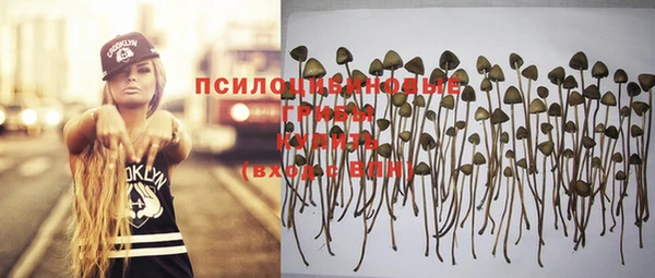 прущая мука Куйбышев