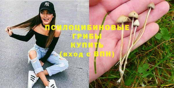 ПСИЛОЦИБИНОВЫЕ ГРИБЫ Кукмор