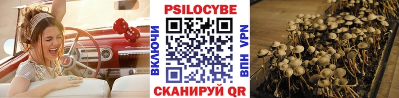 Купить закладки  Новотроицк  Псилоцибиновые грибы Cubensis 